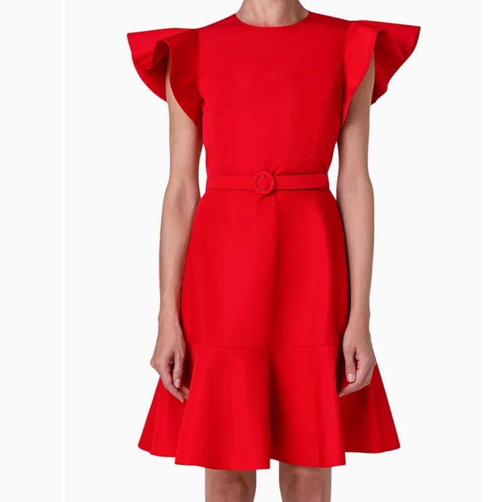 AKRIS PUNTO short-sleeved belted dress, size 4, NEW; Original price $1490